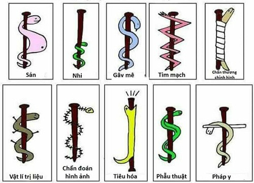 Biểu tượng ngành y theo chuyên khoa.