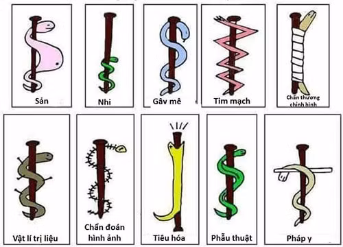 Biểu tượng ngành y theo chuyên khoa.