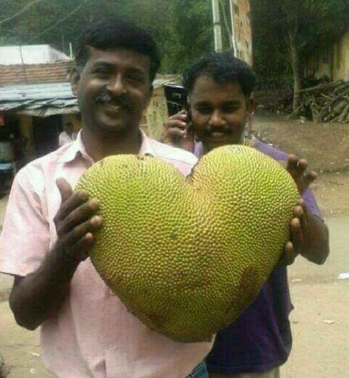 Trái tim tự nhiên.