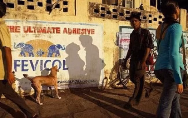 Xem những hình ảnh này bạn sẽ thấy hóa ra cái bóng cũng ẩn chứa bí mật bất ngờ - Ảnh 14.