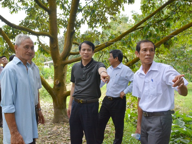 Thứ trưởng Phạm Mạnh Hùng kiểm tra kết quả xây dựng nông thôn mới tại thành phố Cần Thơ và tỉnh Cà Mau ảnh 3