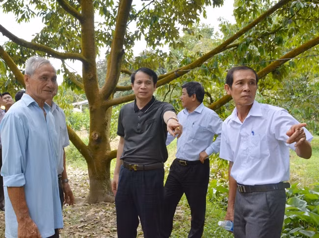 Thứ trưởng Phạm Mạnh Hùng kiểm tra kết quả xây dựng nông thôn mới tại thành phố Cần Thơ và tỉnh Cà Mau ảnh 3