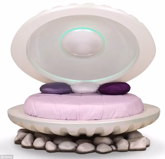 Không biến thành nàng tiên cá được thì mua giường vỏ sò sang chảnh ảnh 3