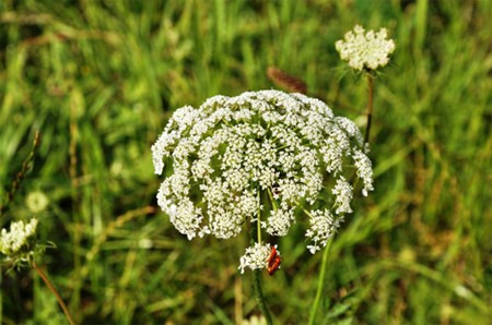 Nhung cach tranh thai 