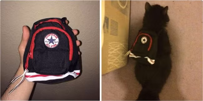 "do khoc, do cuoi" voi tham hoa mua hang qua mang hinh anh 9