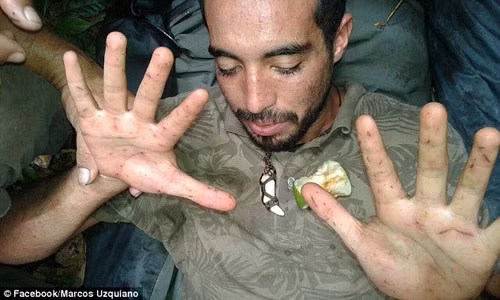 Lạc trong rừng Amazon 9 ngày, du khách được đàn khỉ cứu sống 