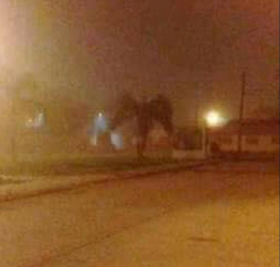 buc anh chup “con quy co canh” gay hoang mang o my hinh anh 1