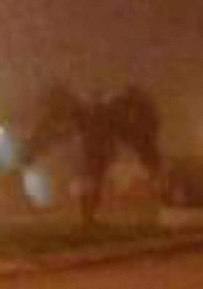 buc anh chup “con quy co canh” gay hoang mang o my hinh anh 2