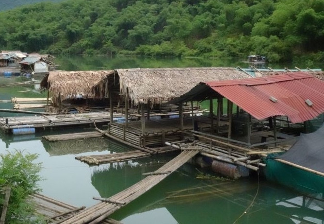 Khu vực nuôi cá lồng của bà con xã Trung Sơn, huyện Quan Sơn.