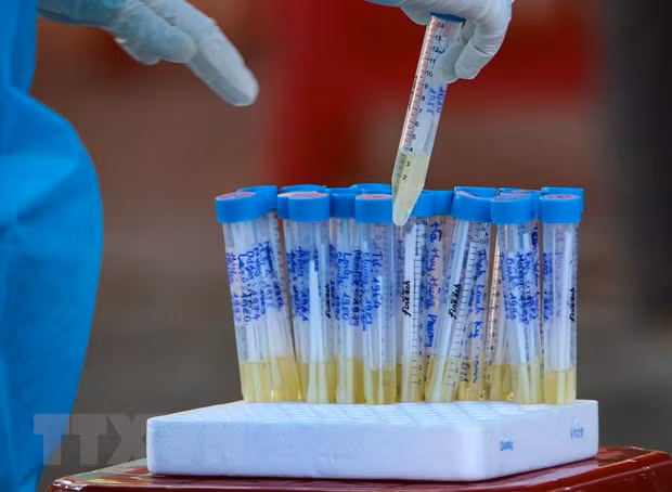 (Ảnh: TTXVN/Vietnam+).