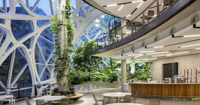 Khám phá tòa nhà làm việc của tỷ phú giàu nhất thế giới Jeff Bezos ảnh 5 kham pha toa nha lam viec cua ty phu giau nhat the gioi - 5