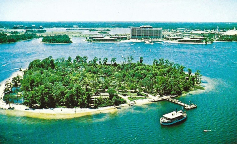 Ban đầu, nơi này có tên Treasure Island (đảo kho báu) khi mở cửa vào năm 1974 dưới dạng một khu bảo tồn chim . Sau đó, đảo được đổi tên thành Discovery Island vào năm 1978 với khu chuồng nuôi các loại thú, chim, hồ hồng hạc và bãi tắm cho du khách. Can canh hon dao noi tieng cua Disney World bi bo hoang, do nat hinh anh 2
