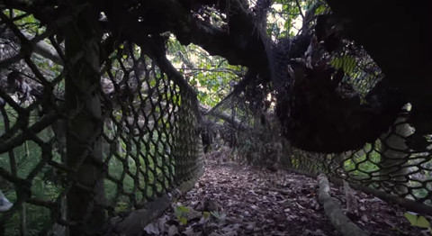 Cận cảnh hòn đảo nổi tiếng của Disney World bị bỏ hoang, đổ nát ảnh 16 Can canh hon dao noi tieng cua Disney World bi bo hoang, do nat hinh anh 16