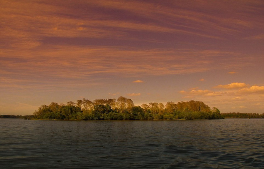 Hòn đảo này được xây dựng dưới cảm hứng từ bộ phim của Disney "Treasure Island". Những ngày đầu mở cửa, công viên được biết đến là nơi sở hữu nhiều loài chim quý trên thế giới. Du khách sẽ được đi thuyền từ đất liền ra đảo để khám phá thiên đường các loài chim hoang dã. Can canh hon dao noi tieng cua Disney World bi bo hoang, do nat hinh anh 4