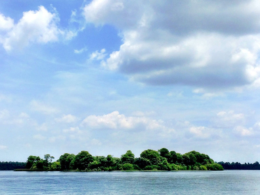 Giữa hồ Bay (Orlando, Florida, Mỹ) có một hòn đảo bí ẩn của Disney World, không cho phép người ngoài vào, kể cả nhân viên của Disney. Cách đây 2 thập kỷ, hòn đảo này là một công viên giải trí chủ đề cướp biển của Disney có tên Discovery Island. Công viên đột ngột đóng cửa cửa vào năm 1999 và bị bỏ hoang cho đến nay. Can canh hon dao noi tieng cua Disney World bi bo hoang, do nat hinh anh 1