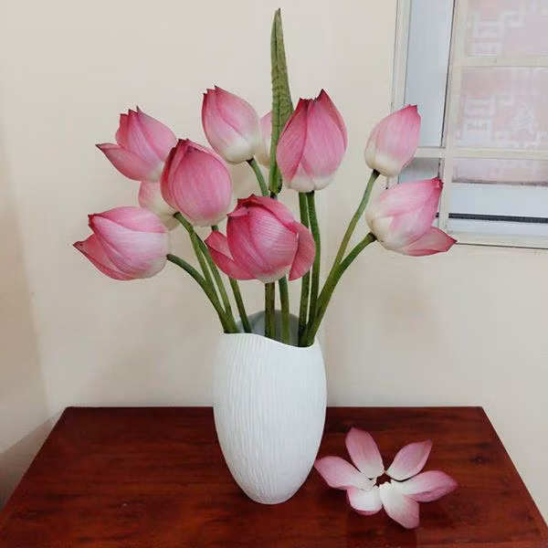 5 loai hoa dep bay phong khach khong som thi muon, kieu gi cung giau - 1