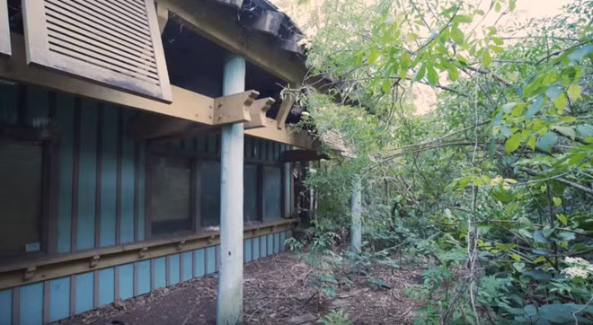 Can canh hon dao noi tieng cua Disney World bi bo hoang, do nat hinh anh 7 