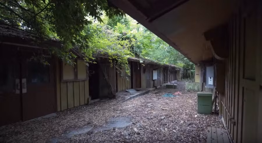 Cận cảnh hòn đảo nổi tiếng của Disney World bị bỏ hoang, đổ nát