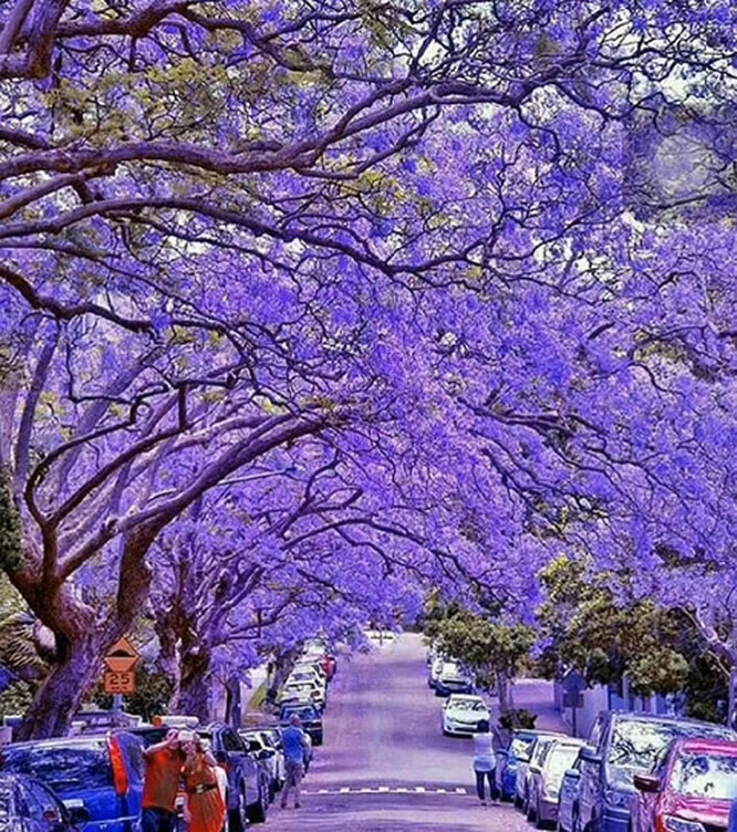 Nguồn: Bright Side