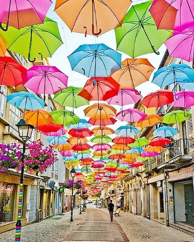 Chiêm ngưỡng những con đường đẹp như trong mơ trên khắp thế giới ảnh 9 Nguồn: Bright Side