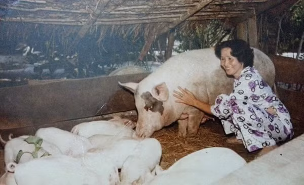 Mẹ Hoài Linh từng có những năm tháng thanh xuân cơ cực nuôi các con khôn lớn.