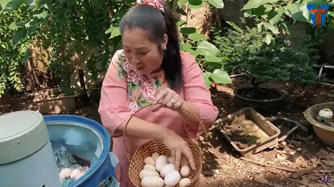 NSND Hồng Vân hào hứng nhặt trứng trong khu vườn bí mật NSND Hồng Vân hào hứng nhặt trứng trong khu vườn bí mật