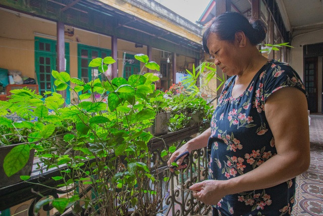 Theo lời cô Thủy, dù có người trả giá cao lên tới vài trăm tỷ nhưng gia đình không đồng ý bán. Theo lời cô Thủy, dù có người trả giá cao lên tới vài trăm tỷ nhưng gia đình không đồng ý bán.