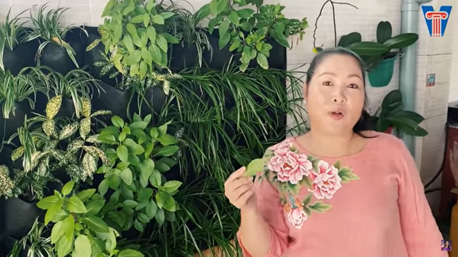 Sân sau nhà NSND Hồng Vân Sân sau nhà NSND Hồng Vân
