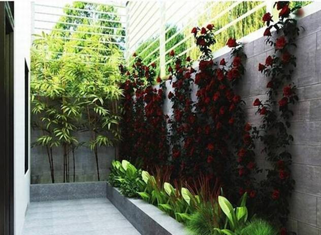 Thiết kế sân vườn nhỏ đẹp, đơn giản theo phong cách Châu Âu hiện đại. Thiết kế sân vườn nhỏ đẹp, đơn giản theo phong cách Châu Âu hiện đại.