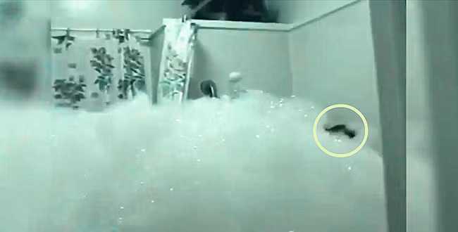 Con gái tự tắm 2 tiếng chưa thấy xong, bố mẹ chạy vào thì bàng hoàng với cảnh tượng trước mắt-2