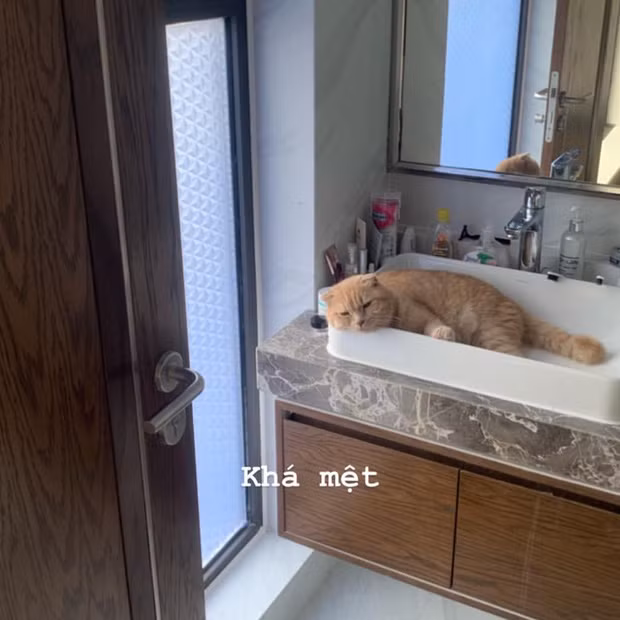 Bên trong nhà Mai Phương Thuý: Đơn giản đến khó tin, không xa hoa như nhiều người vẫn tưởng-5