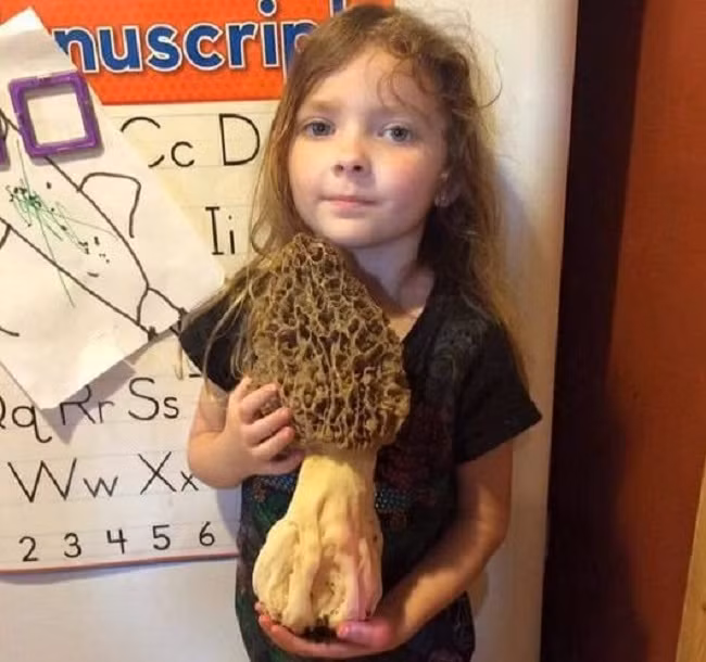 Người đàn ông tưởng bị vấp vào đống bùn đất nhưng không ngờ đó là tuyệt phẩm của tạo hóa - Ảnh 5.