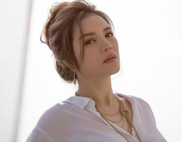 Lý Nhã Kỳ, người đẹp bí ẩn nhất của showbiz Việt ảnh 11