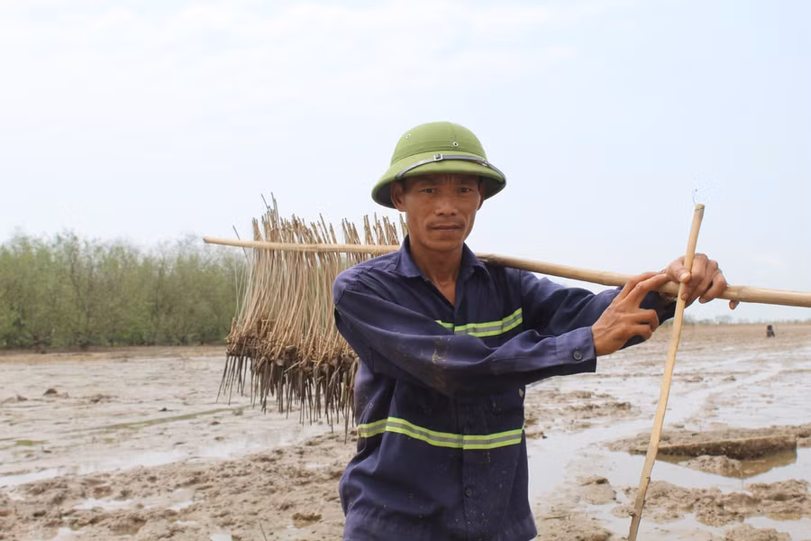 Anh Phạm Văn Hiểu (xã Đa Lộc, Hậu Lộc) săn cá kỳ dị bằng bẫy kẹp. Ảnh: LT.