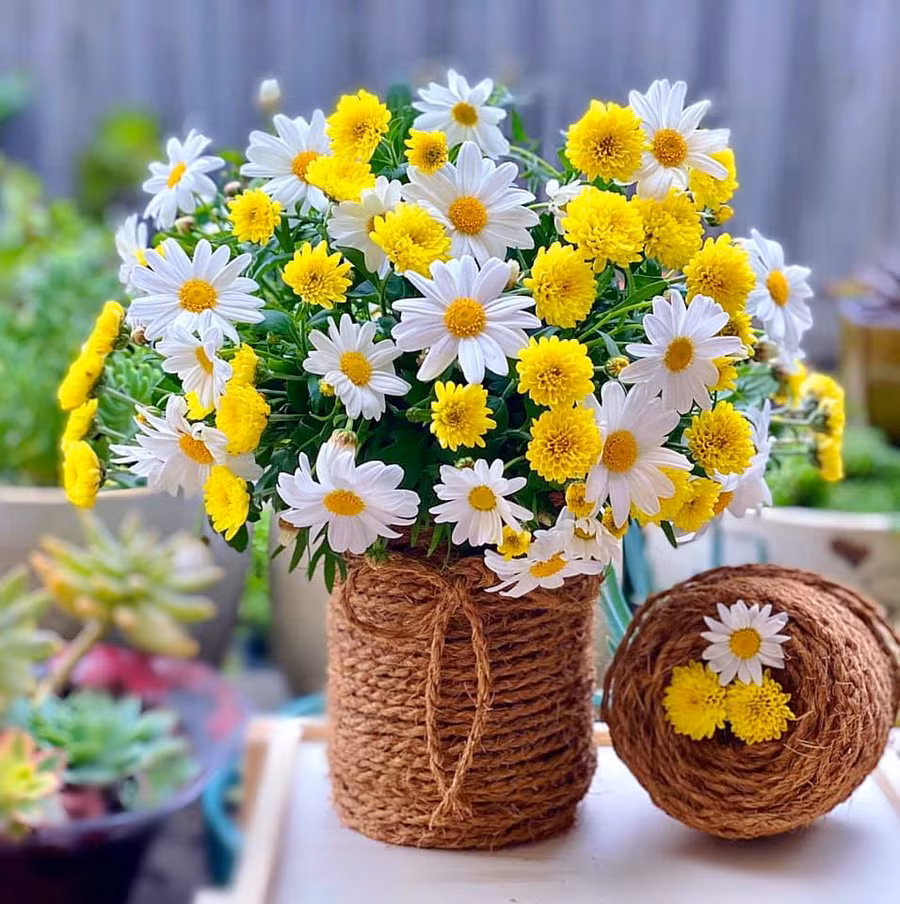 Mẹ đảm trổ tài cắm hoa siêu đẹp, siêu lạ cho mùa hè thêm rực rỡ ảnh 14