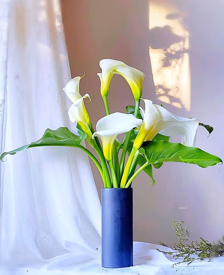 Mẹ đảm trổ tài cắm hoa siêu đẹp, siêu lạ cho mùa hè thêm rực rỡ ảnh 4