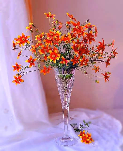 Chị khuyên mọi người nên ưu tiên đặt bình hoa ở chỗ có nhiều ánh sáng sẽ giúp lọ hoa thêm đẹp.