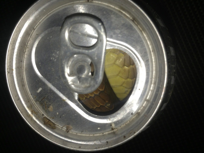 Những hình ảnh tưởng bình thường nhưng khiến bạn rùng mình sợ hãi khi nhìn kỹ - Ảnh 13.