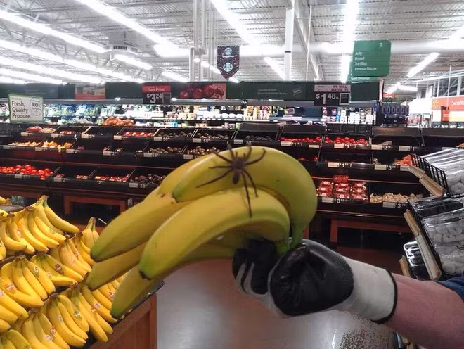 Những hình ảnh tưởng bình thường nhưng khiến bạn rùng mình sợ hãi khi nhìn kỹ - Ảnh 10.