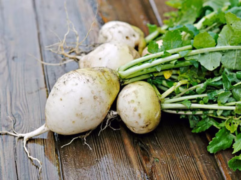 Củ cải chứa nhiều vitamin, khoáng chất và chất xơ. Đây là một lý do tại sao bạn nên đưa chúng vào chế độ ăn uống của bạn. Củ cải được biết đến có thể điều chỉnh các kích thích tố tăng trưởng trong cơ thể của chúng ta, do đó nó đóng góp khá nhiều trong việc tăng chiều cao.
