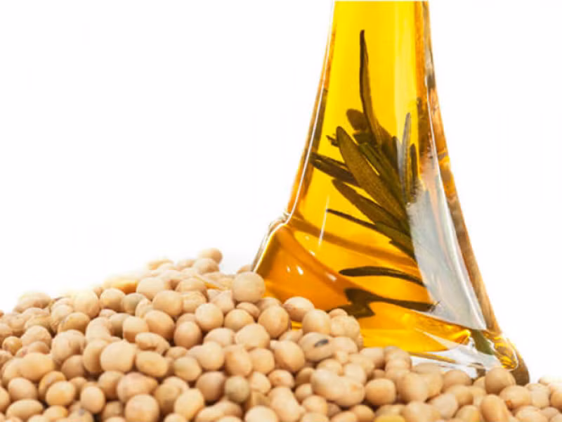 Đậu nành: Các protein có trong đậu nành có thể cải thiện mật độ xương và hình dạng xương, đây là điều cần thiết cho sự phát triển của chúng. Khi ăn đậu nành hàng ngày, chúng giữ cho xương của bạn trong hình dạng tốt và thúc đấy sự phát triển lành mạnh. Để tăng chiều cao, các chuyên gia khuyến cáo nên ăn 50 gram đậu nành mỗi ngày.