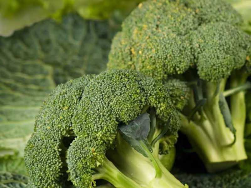 Bông cải xanh chứa nhiều vitamin C, chất xơ và sắt. Nó giúp cho các cơ quan trong cơ thể hoạt động đúng đắn và kích thích các yếu tố tăng trưởng.