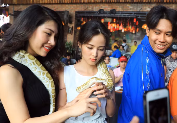 Thú chơi bò sát của giới trẻ ở Sài Gòn