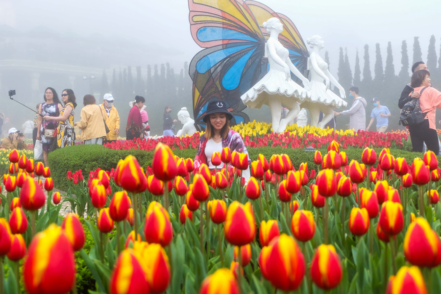 Rực rỡ 1,5 triệu bông hoa tulip ở Bà Nà ảnh 14 Rực rỡ 1,5 triệu bông hoa tulip ở Bà Nà ảnh 14