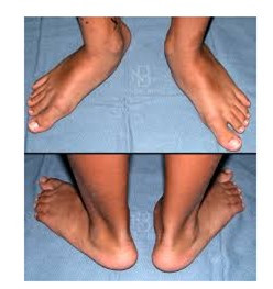 Nhung tu the xau co hai cho suc khoe can phai tranh xa