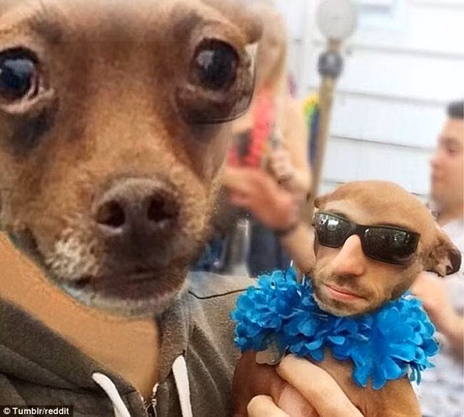 trao luu chup anh quai di dang 