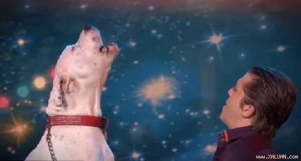 Chú chó hát ‘I Will Always Love You’ cực đỉnh