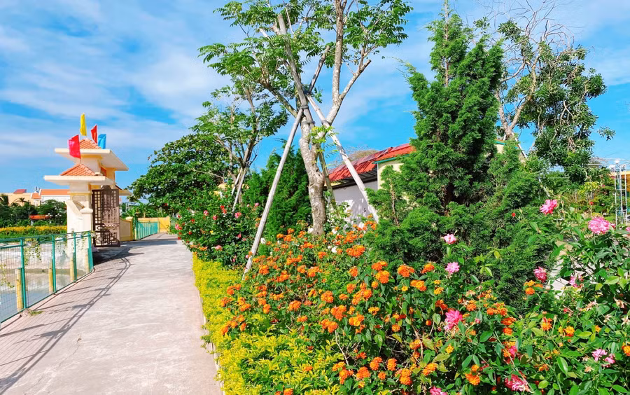 Không gian trường học đa sắc màu bởi cây xanh, hoa tươi do thầy trò tự tay trồng, chăm sóc.