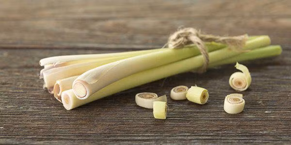 Diệt sạch muỗi trong nhà bằng chút bia uống dở, cho tiền muỗi cũng tránh xa-5