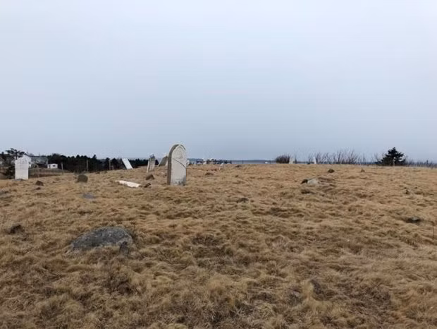 bat ke dao trom mo lay xuong nguoi 100 nam tuoi de lam mon sup hinh anh 2